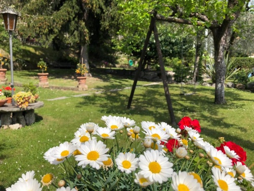 Hotel Palazzina image 36